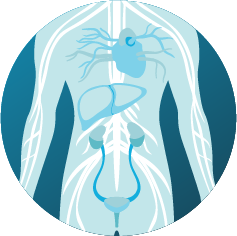 Overhead Arm Support - Secure positioning to optimise imaging